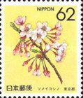 Cherry Blossom (Tokyo)