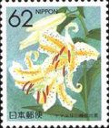 Gold-banded Lily (Kanagawa)