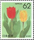 Tulip (Niigata)
