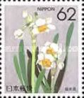 Narcissi (Fukui)