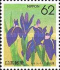 Rabbit-ear Iris (Aichi)