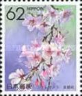 Weeping Cherry Blossom (Kyoto)