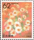 Marguerites (Hyogo)