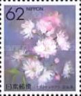 Double Cherry Blossom (Nara)