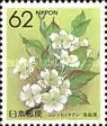 Pear Blossom (Tottori)