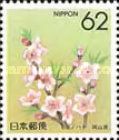 Peach Blossom (Okayama)