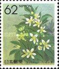 Summer Orange Blossom (Yamaguchi)