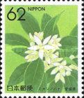 Mandarin Orange Blossom (Ehime)