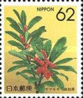 Myrica Rubra (Kochi)