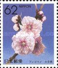 Japanese Apricot (Oita)