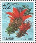 Coral Tree (Okinawa)