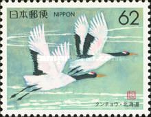 Red-crowned Crane (Grus japonensis)