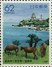 Cape Toi. Horses (Miyazaki)