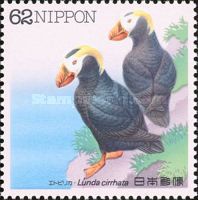 Tufted Puffin (Fratercula cirrhata)