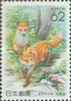 Red Fox (Vulpes Vulpes)