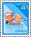 Mandarin Duck (Aix galericulata)