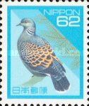 Oriental Turtle Dove (Streptopelia orientalis)