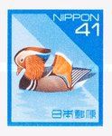 Mandarin Duck (Aix galericulata)