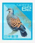Oriental Turtle Dove (Streptopelia orientalis)