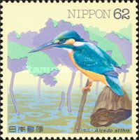 Common Kingfisher (Alcedo atthis)