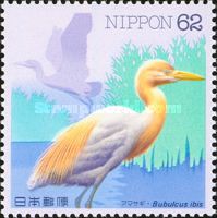Cattle Egret (Bubulcus ibis)