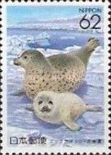 Spotted Seal (Phoca vitulina largha)