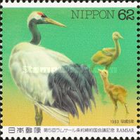 Red-crowned Crane (Grus japonensis)