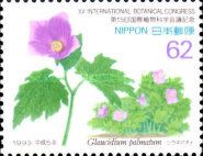 Japanese Wood Poppy (Glaucidium palmatum)