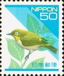 Japanese White-eye (Zosterops japonicus)