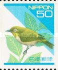 Japanese White-eye (Zosterops japonicus)