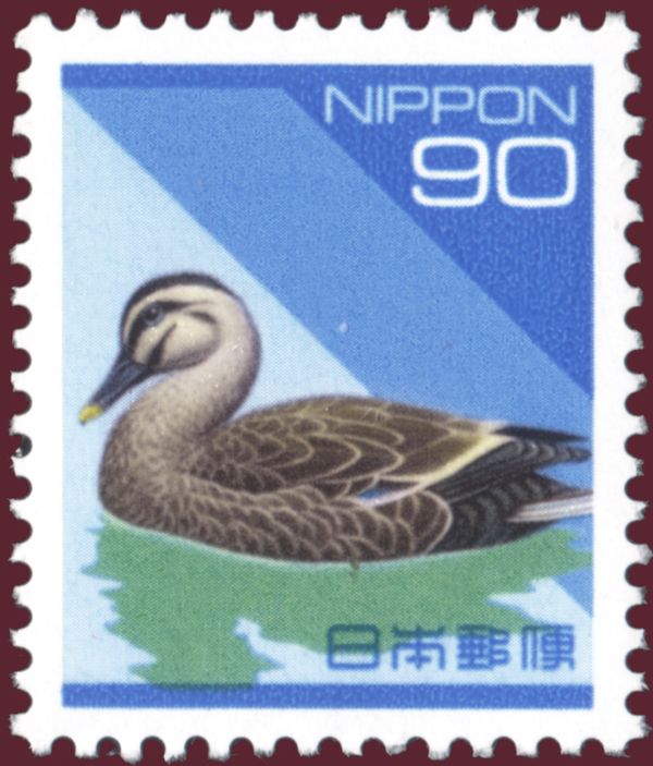 Eastern Spot-billed Duck (Anas zonorhyncha)