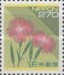Wild Pinks (Dianthus superbus)