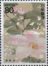 Winter Camellias