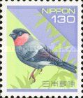 Eurasian Bullfinch (Pyrrhula pyrrhula)