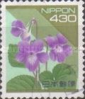 Violets (Viola grypoceras)