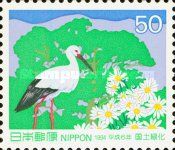 Oriental Stork (Ciconia boyciana)