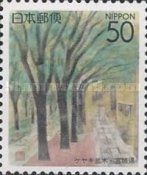 Zelkova (Japanese Elm) Trees