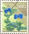 Dayflower