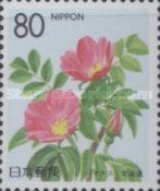 Japanese Rose (Rosa rugosa)