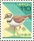 Little Ringed Plover (Charadrius dubius)