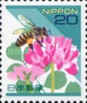 Honey Bee (Apis mellifera ssp.), Chinese Milk Vetch (Astraga