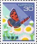 Small Copper (Lycaena phlaeas), Daisy (Bellis perennis)
