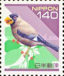 Chinese Grosbeak (Eophona migratoria) 