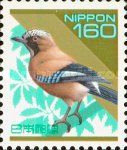 Eurasian Jay (Garrulus glandarius)