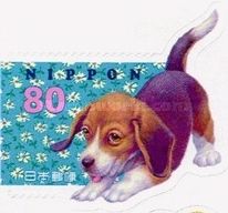 Greetings. Puppy