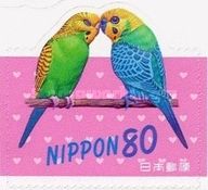 Greetings. Budgerigars