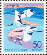 Red-crowned Crane (Grus japonensis)