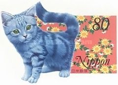 Kittens (Felis silvestris catus)