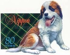 St.Bernhard Dog (Canis lupus familiaris)