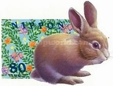Domestic Rabbit (Oryctolagus cuniculus domesticus)